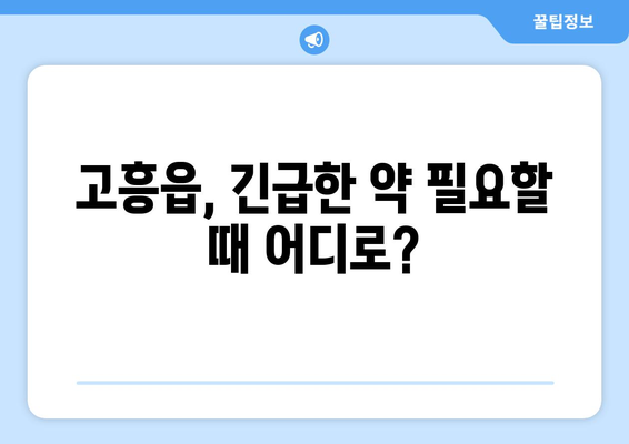 전라남도 고흥군 고흥읍 24시간 토요일 일요일 휴일 공휴일 야간 약국