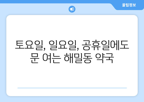 세종시 세종특별자치시 해밀동 24시간 토요일 일요일 휴일 공휴일 야간 약국