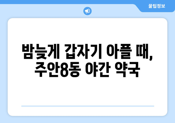 인천시 미추홀구 주안8동 24시간 토요일 일요일 휴일 공휴일 야간 약국