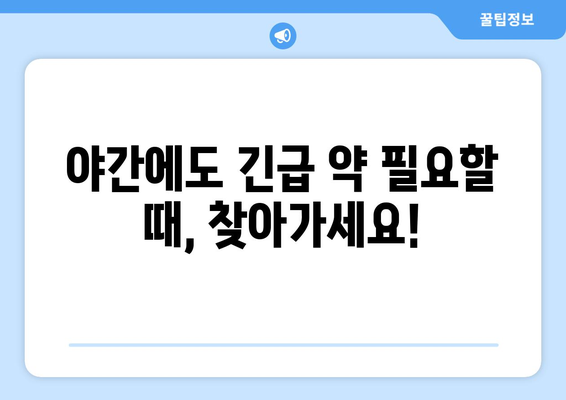 대전시 유성구 관평동 24시간 토요일 일요일 휴일 공휴일 야간 약국