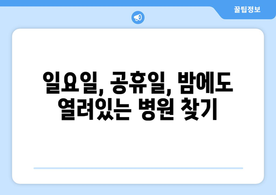 강원도 원주시 명륜1동 일요일 휴일 공휴일 야간 진료병원 리스트