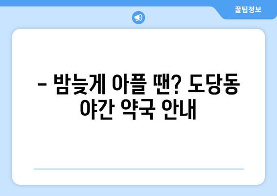 경기도 부천시 도당동 24시간 토요일 일요일 휴일 공휴일 야간 약국