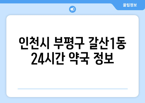 인천시 부평구 갈산1동 24시간 토요일 일요일 휴일 공휴일 야간 약국