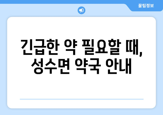 전라북도 임실군 성수면 24시간 토요일 일요일 휴일 공휴일 야간 약국