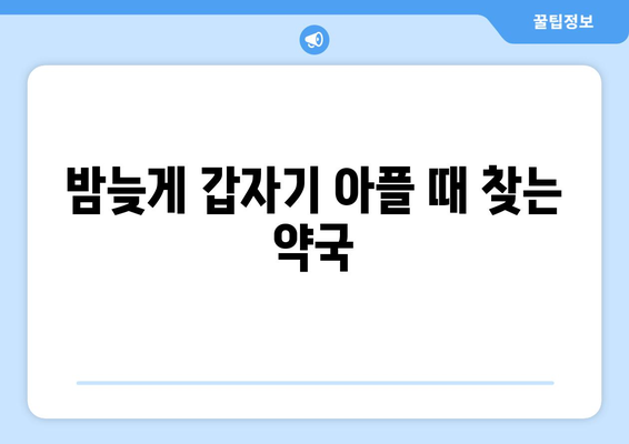 부산시 남구 감만1동 24시간 토요일 일요일 휴일 공휴일 야간 약국