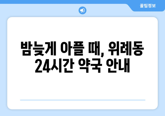 서울시 송파구 위례동 24시간 토요일 일요일 휴일 공휴일 야간 약국