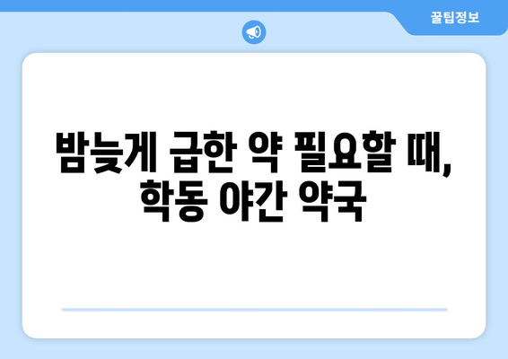 광주시 동구 학동 24시간 토요일 일요일 휴일 공휴일 야간 약국