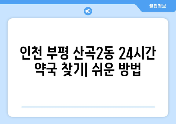 인천시 부평구 산곡2동 24시간 토요일 일요일 휴일 공휴일 야간 약국