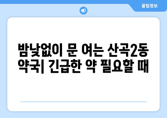 인천시 부평구 산곡2동 24시간 토요일 일요일 휴일 공휴일 야간 약국