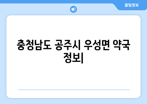 충청남도 공주시 우성면 24시간 토요일 일요일 휴일 공휴일 야간 약국