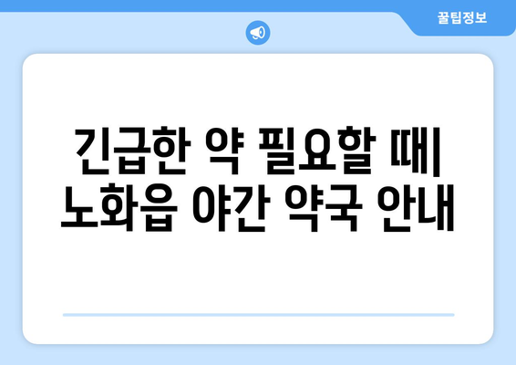 전라남도 완도군 노화읍 24시간 토요일 일요일 휴일 공휴일 야간 약국