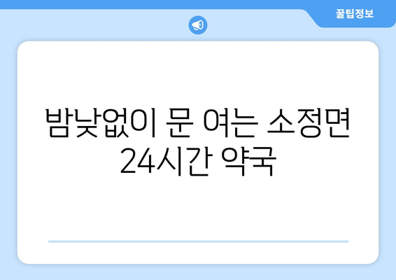 세종시 세종특별자치시 소정면 24시간 토요일 일요일 휴일 공휴일 야간 약국