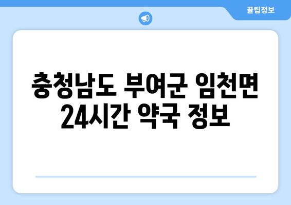 충청남도 부여군 임천면 24시간 토요일 일요일 휴일 공휴일 야간 약국