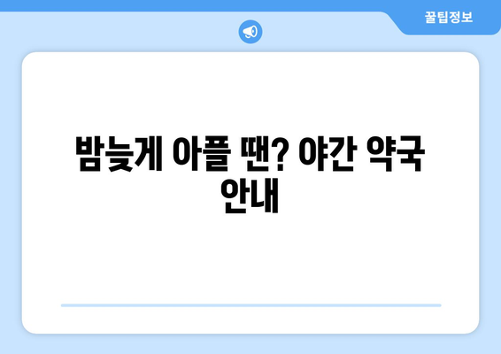 서울시 강서구 발산제1동 24시간 토요일 일요일 휴일 공휴일 야간 약국