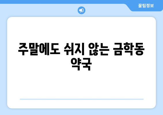 충청남도 공주시 금학동 24시간 토요일 일요일 휴일 공휴일 야간 약국