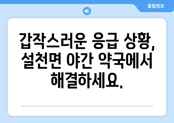 경상남도 남해군 설천면 24시간 토요일 일요일 휴일 공휴일 야간 약국