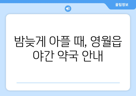 강원도 영월군 영월읍 24시간 토요일 일요일 휴일 공휴일 야간 약국