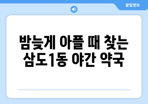 제주도 제주시 삼도1동 24시간 토요일 일요일 휴일 공휴일 야간 약국