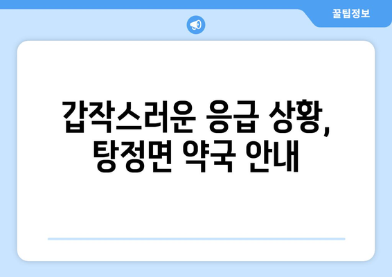 충청남도 아산시 탕정면 24시간 토요일 일요일 휴일 공휴일 야간 약국