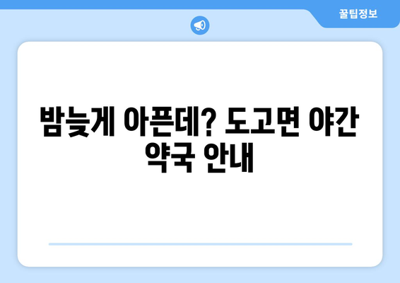 충청남도 아산시 도고면 24시간 토요일 일요일 휴일 공휴일 야간 약국