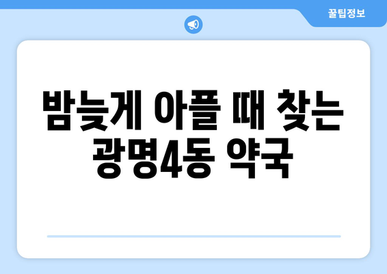 경기도 광명시 광명4동 24시간 토요일 일요일 휴일 공휴일 야간 약국