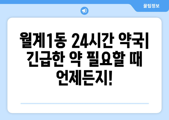 서울시 노원구 월계1동 24시간 토요일 일요일 휴일 공휴일 야간 약국