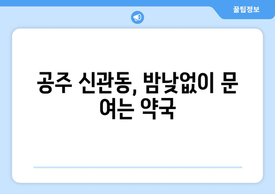 충청남도 공주시 신관동 24시간 토요일 일요일 휴일 공휴일 야간 약국