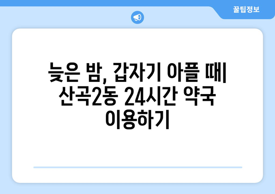 인천시 부평구 산곡2동 24시간 토요일 일요일 휴일 공휴일 야간 약국