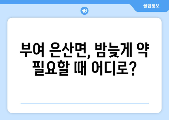 충청남도 부여군 은산면 24시간 토요일 일요일 휴일 공휴일 야간 약국