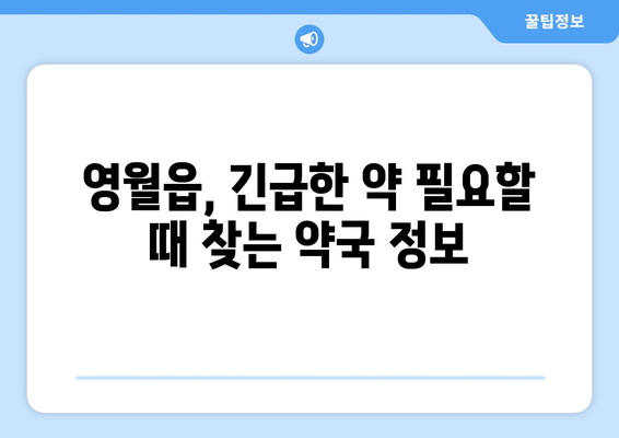 강원도 영월군 영월읍 24시간 토요일 일요일 휴일 공휴일 야간 약국