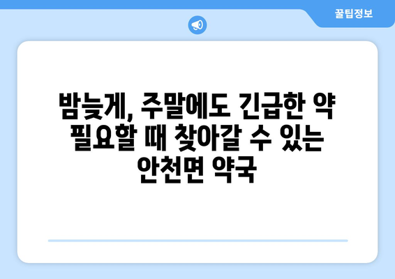 전라북도 진안군 안천면 24시간 토요일 일요일 휴일 공휴일 야간 약국