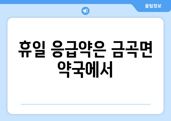 경상남도 진주시 금곡면 24시간 토요일 일요일 휴일 공휴일 야간 약국