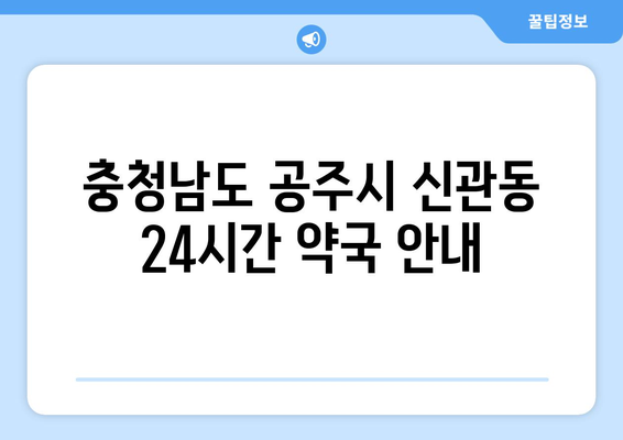 충청남도 공주시 신관동 24시간 토요일 일요일 휴일 공휴일 야간 약국