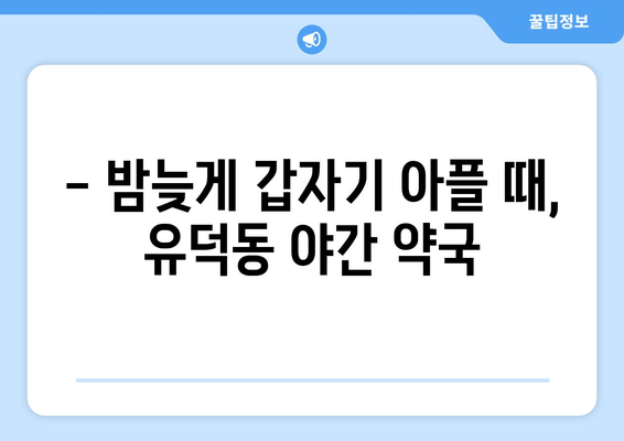 광주시 서구 유덕동 24시간 토요일 일요일 휴일 공휴일 야간 약국