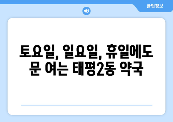 대전시 중구 태평2동 24시간 토요일 일요일 휴일 공휴일 야간 약국