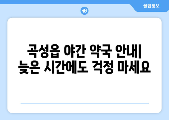 전라남도 곡성군 곡성읍 24시간 토요일 일요일 휴일 공휴일 야간 약국