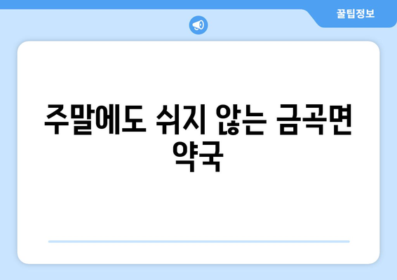 경상남도 진주시 금곡면 24시간 토요일 일요일 휴일 공휴일 야간 약국