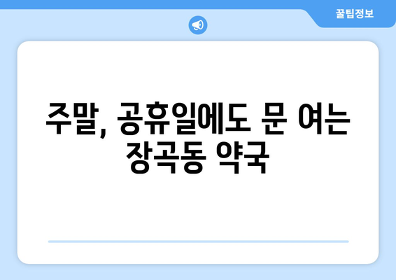 경기도 시흥시 장곡동 24시간 토요일 일요일 휴일 공휴일 야간 약국