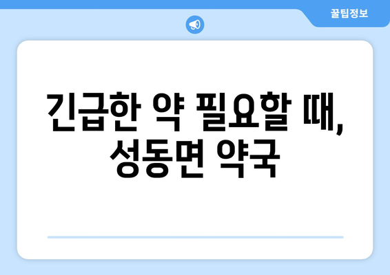 충청남도 논산시 성동면 24시간 토요일 일요일 휴일 공휴일 야간 약국