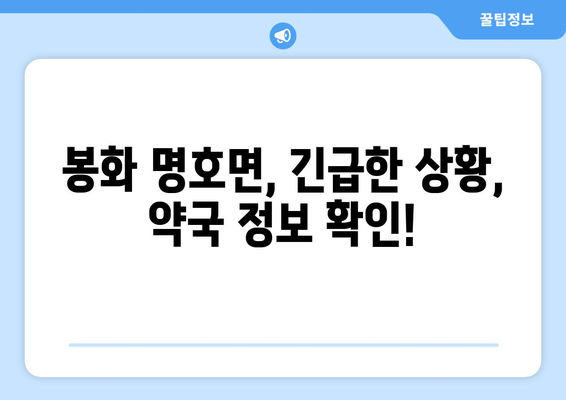 경상북도 봉화군 명호면 24시간 토요일 일요일 휴일 공휴일 야간 약국