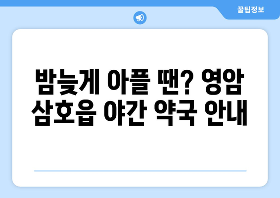 전라남도 영암군 삼호읍 24시간 토요일 일요일 휴일 공휴일 야간 약국