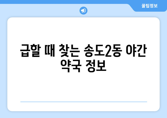 인천시 연수구 송도2동 24시간 토요일 일요일 휴일 공휴일 야간 약국