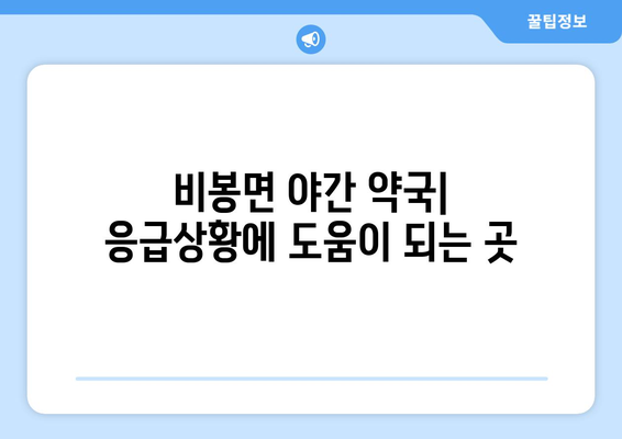 경기도 화성시 비봉면 24시간 토요일 일요일 휴일 공휴일 야간 약국