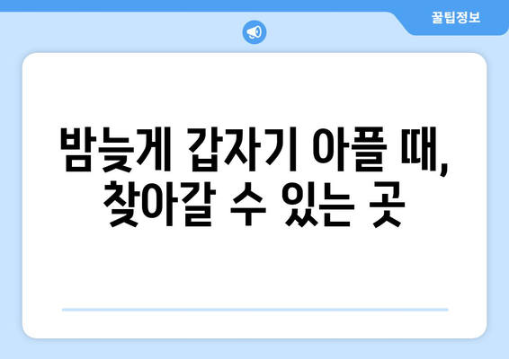 전라북도 무주군 적상면 24시간 토요일 일요일 휴일 공휴일 야간 약국