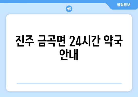 경상남도 진주시 금곡면 24시간 토요일 일요일 휴일 공휴일 야간 약국