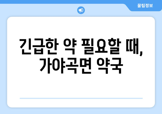 충청남도 논산시 가야곡면 24시간 토요일 일요일 휴일 공휴일 야간 약국