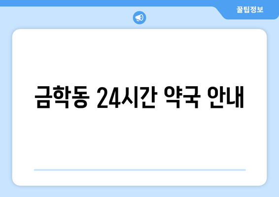 충청남도 공주시 금학동 24시간 토요일 일요일 휴일 공휴일 야간 약국