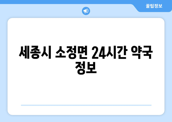 세종시 세종특별자치시 소정면 24시간 토요일 일요일 휴일 공휴일 야간 약국