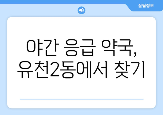 대전시 중구 유천2동 24시간 토요일 일요일 휴일 공휴일 야간 약국