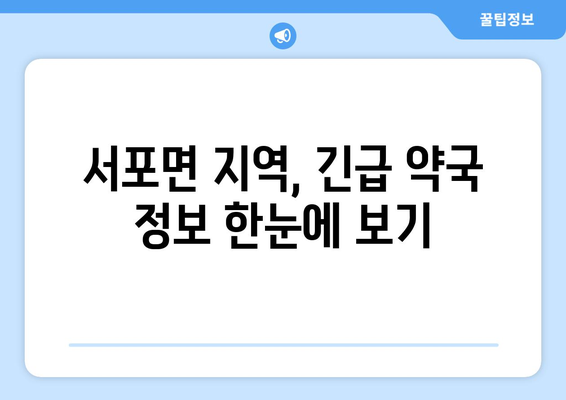 경상남도 사천시 서포면 24시간 토요일 일요일 휴일 공휴일 야간 약국